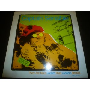 画像: CAPTAIN SENSIBLE/THESE ARE MORE SNAKES THAN LADDERS (12")