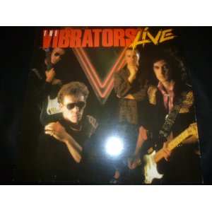 画像: VIBRATORS/LIVE