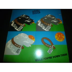 画像: STRAY DOG/WHILE YOU'RE DOWN THERE