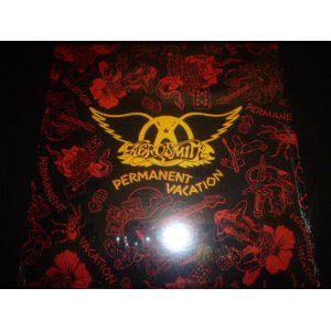 画像: AEROSMITH/PERMANENT VACATION