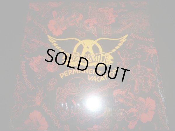 画像1: AEROSMITH/PERMANENT VACATION