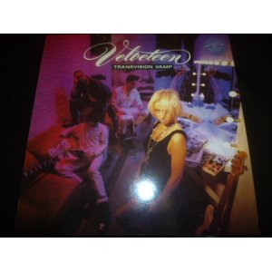 画像: TRANSVISION VAMP/VELVETEEN