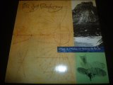画像: POI DOG PONDERING/WISHING LIKE A MOUNTAIN AND THINKING LIKE  THE SEA