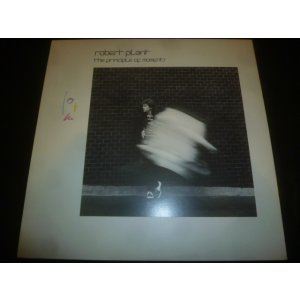 画像: ROBERT PLANT/THE PRINCIPLE OF MOMENTS