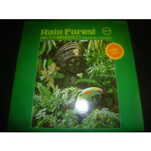 画像: WALTER WANDERLEY/RAIN FOREST