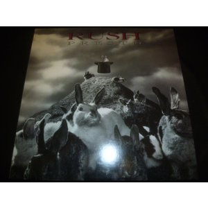 画像: RUSH/PRESTO
