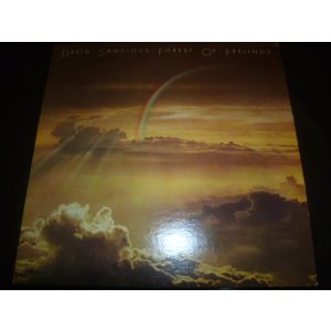 画像: DAVID SANCIOUS/FOREST OF FEELINGS