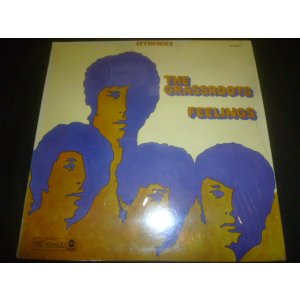 画像: GRASSROOTS/FEELINGS