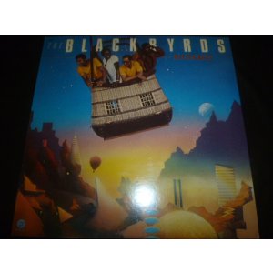 画像: BLACKBYRDS/BETTER DAYS