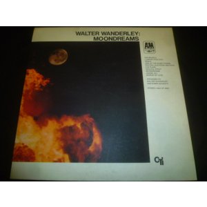 画像: WALTER WANDERLEY/MOONDREAMS