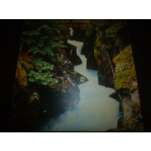 画像: CAT STEVENS/BACK TO EARTH