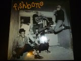 画像: FISHBONE/SAME