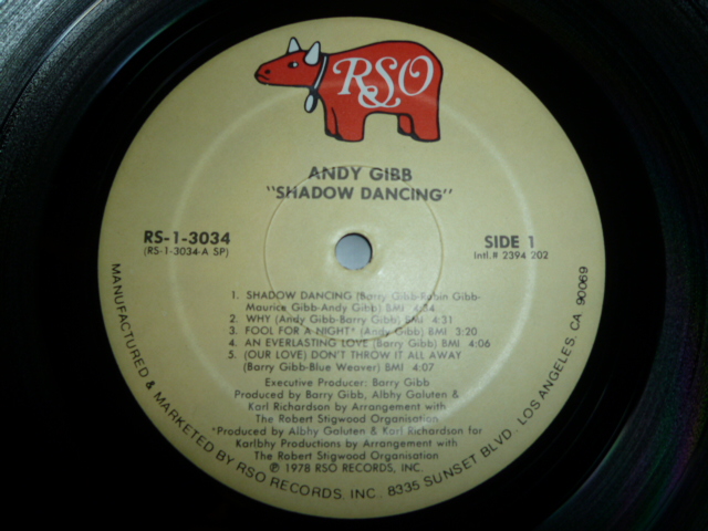 画像: ANDY GIBB/SHADOW DANCING