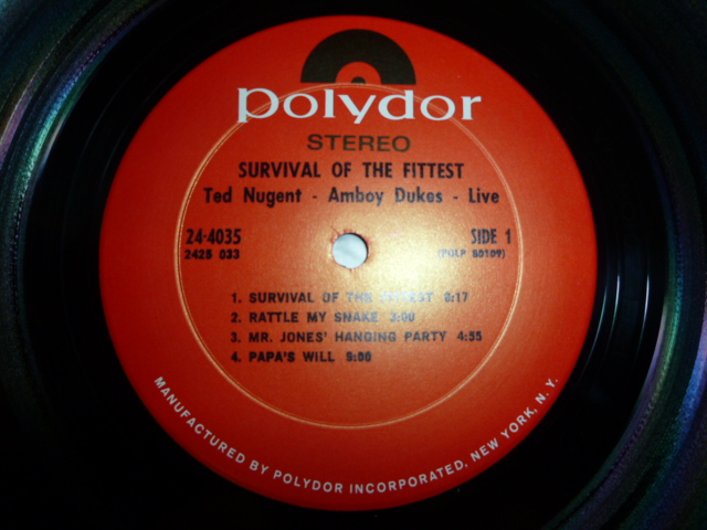 画像: TED NUGENT & THE AMBOY DUKES/SURVIVAL OF THE FITTEST