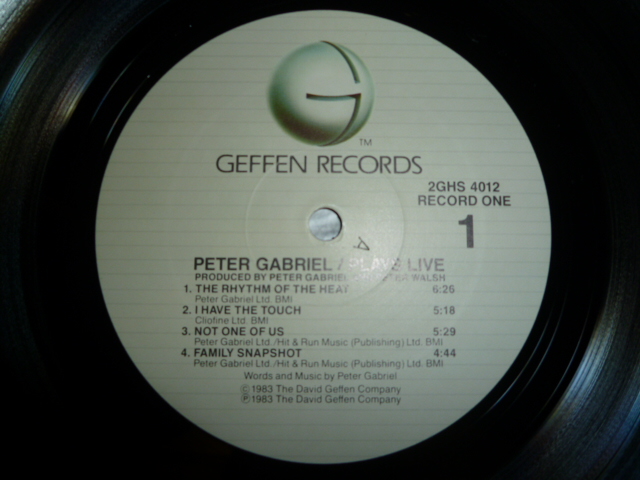 画像: PETER GABRIEL/PLAYS LIVE