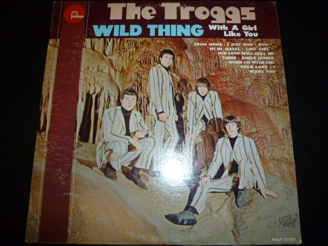 画像1: TROGGS/WILD THING