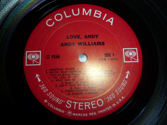 画像: ANDY WILLIAMS/LOVE ANDY