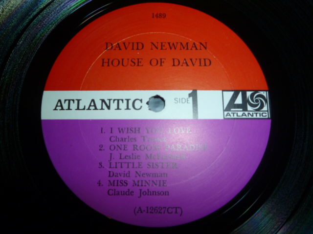 画像: DAVID NEWMAN/HOUSE OF DAVID