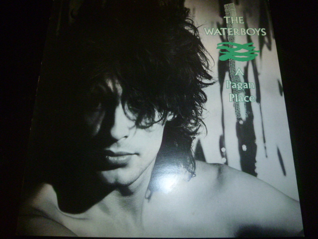 画像1: WATERBOYS/A PAGAN PLACE