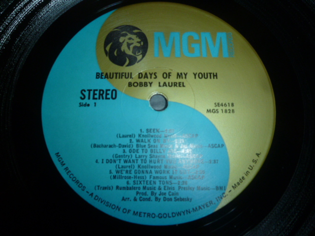 画像: BOBBY LAUREL/BEAUTIFUL DAYS OF MY YOUTH