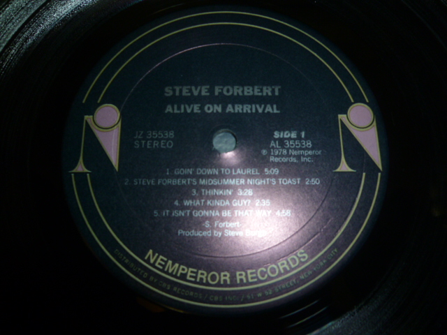 画像: STEVE FORBERT/ALIVE ON ARRIVAL