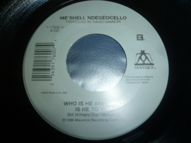 画像1: ME'SHELL NDEGEOCELLO/WHO IS HE AND WHAT IS HE TO YOU