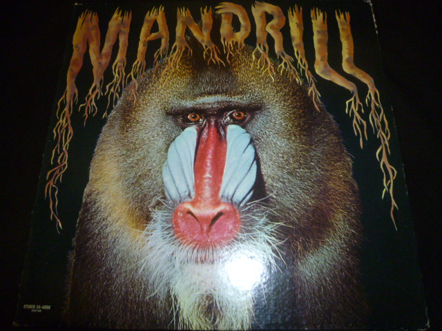 画像1: MANDRILL/SAME