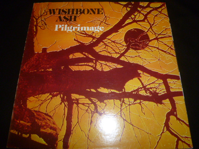 画像1: WISHBONBE ASH/PILGRIMAGE