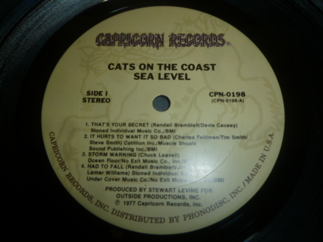画像: SEA LEVEL/CATS ON THE COAST