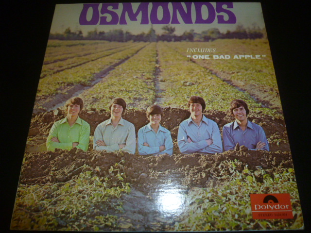 画像1: OSMONDS/SAME