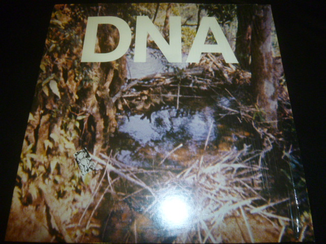 画像1: DNA/A TASTE OF DNA