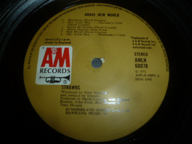 画像: STRAWBS/GRAVE NEW WORLD