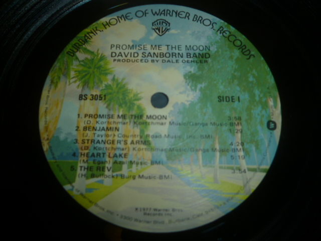 画像: DAVID SANBORN BAND/PROMISE ME THE MOON