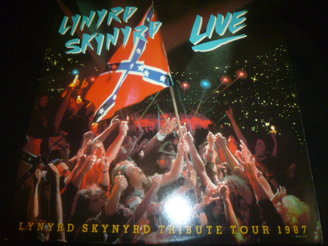 画像1: LYNYRD SKYNYRD/SOUTHERNBY THE GRACE OF GOD  TRIBUTE TOUR 1987