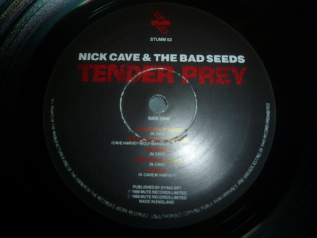 画像: NICK CAVE & THE BAD SEEDS/TENDER PREY