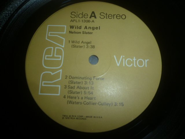 画像: NELSON SLATER/WILD ANGEL