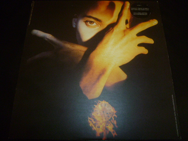 画像1: TERENCE TRENT D'ARBY/NEITHER FISH NOR FLESH