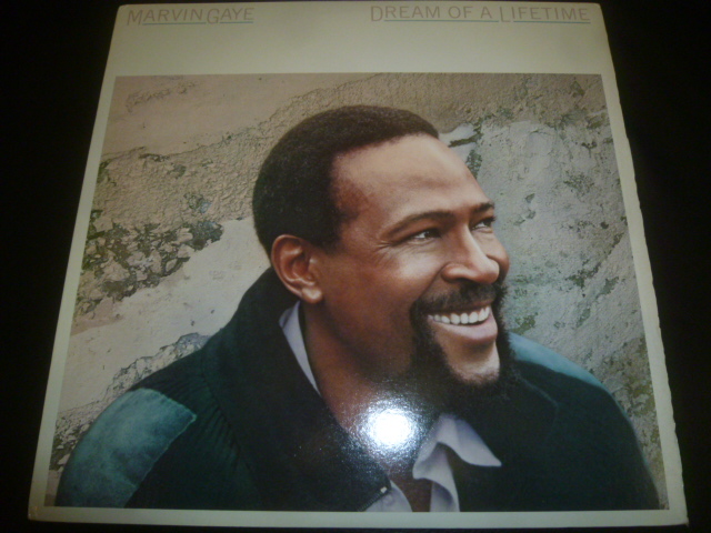 画像1: MARVIN GAYE/DREAM OF A LIFETIME