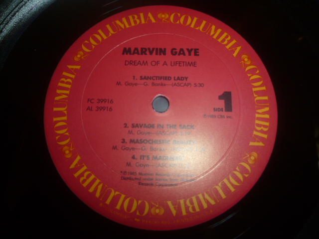 画像: MARVIN GAYE/DREAM OF A LIFETIME