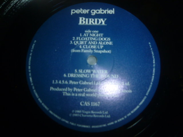 画像: PETER GABRIEL/BIRDY