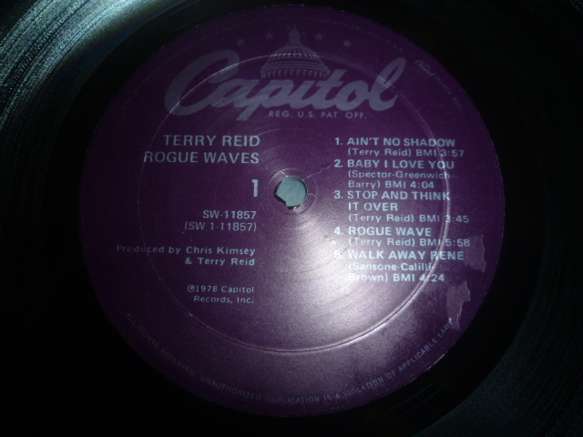 画像: TERRY REID/ROGUE WAVES
