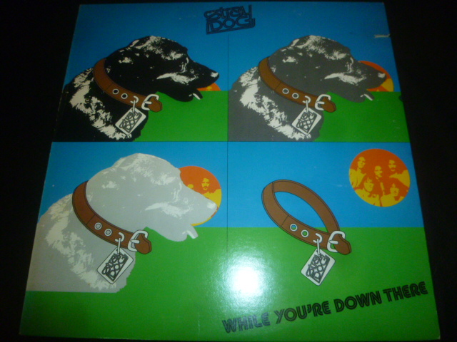 画像1: STRAY DOG/WHILE YOU'RE DOWN THERE