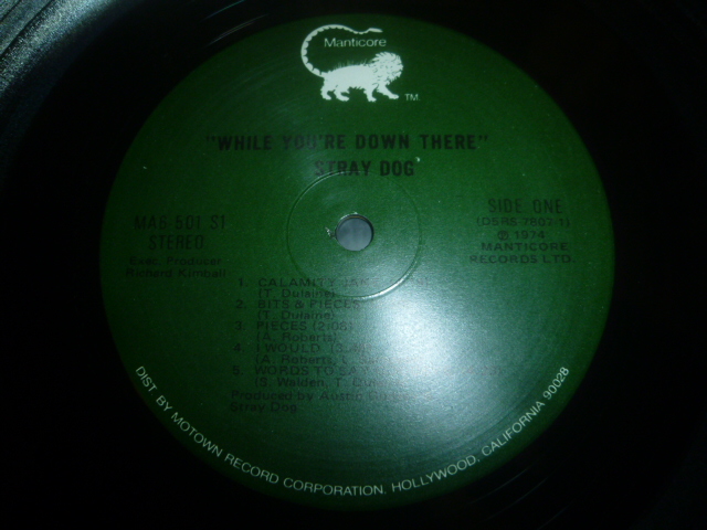 画像: STRAY DOG/WHILE YOU'RE DOWN THERE