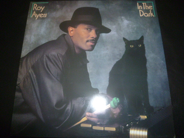 画像1: ROY AYERS/IN THE DARK