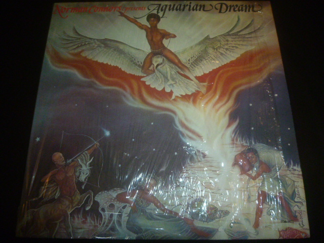 画像1: AQUARIAN DREAM/SAME