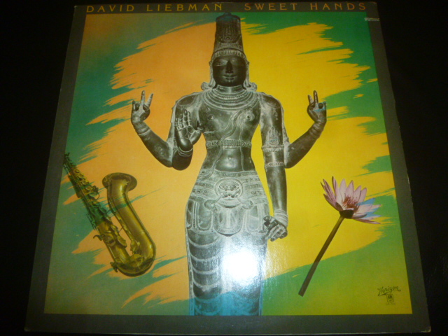 画像1: DAVID LIEBMAN/SWEET HANDS