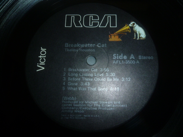 画像: THELMA HOUSTON/BREAKWATER CAT