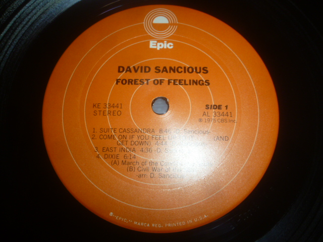 画像: DAVID SANCIOUS/FOREST OF FEELINGS
