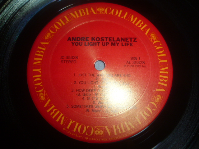 画像: ANDRE KOSTELANETZ/YOU LIGHT UP MY LIFE