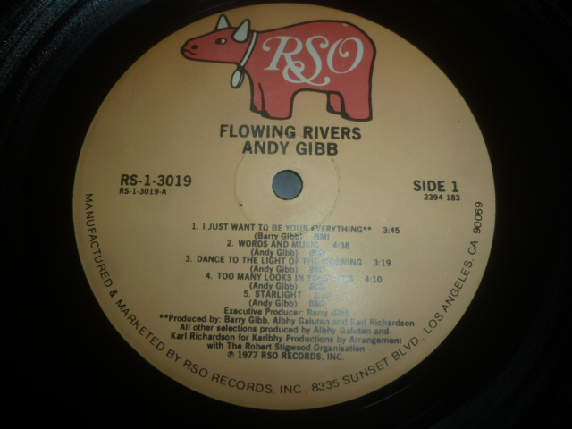画像: ANDY GIBB/FLOWING RIVERS